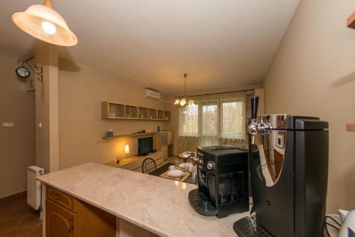Green View Apartment - image 6